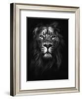 King of Kings-Design Fabrikken-Framed Photographic Print
