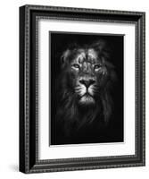 King of Kings-Design Fabrikken-Framed Photographic Print