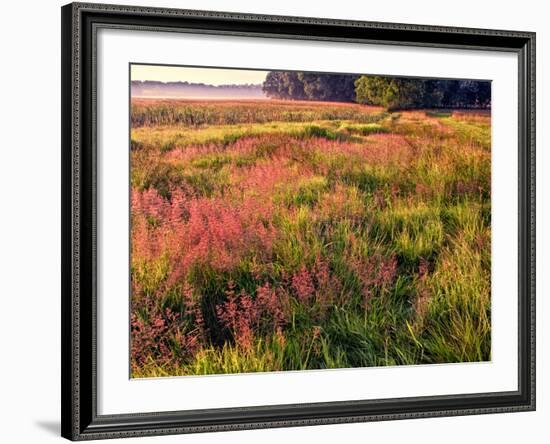 King of Prussia, Philadelphia, Pennsylvania, USA-Jay O'brien-Framed Photographic Print