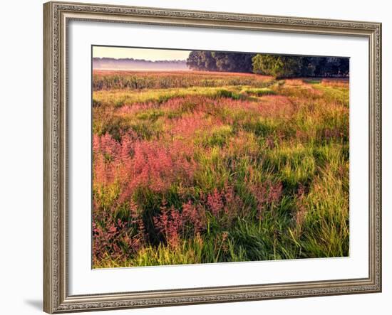 King of Prussia, Philadelphia, Pennsylvania, USA-Jay O'brien-Framed Photographic Print