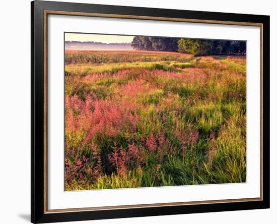 King of Prussia, Philadelphia, Pennsylvania, USA-Jay O'brien-Framed Photographic Print