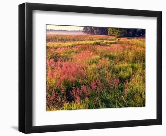 King of Prussia, Philadelphia, Pennsylvania, USA-Jay O'brien-Framed Photographic Print