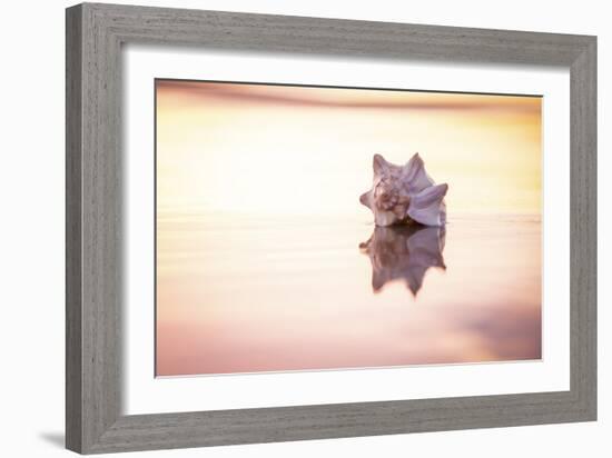 King of the Beach-Chris Moyer-Framed Photographic Print