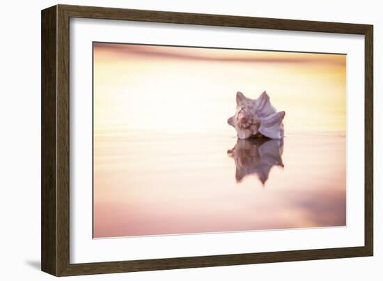 King of the Beach-Chris Moyer-Framed Photographic Print