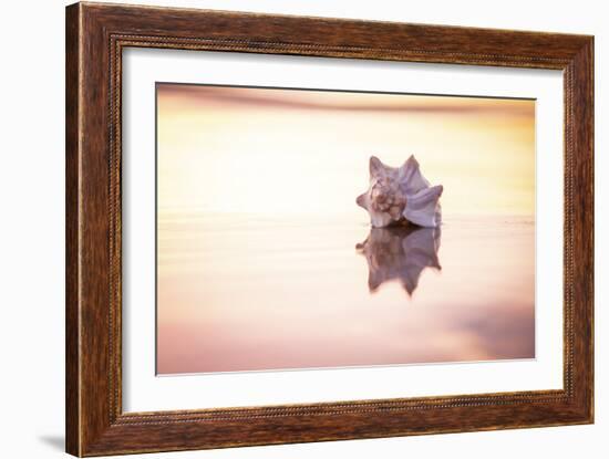 King of the Beach-Chris Moyer-Framed Photographic Print