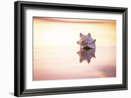 King of the Beach-Chris Moyer-Framed Photographic Print