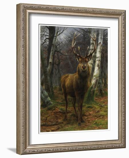 King of the Forest, 1878 (Oil on Canvas)-Rosa Bonheur-Framed Giclee Print