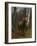 King of the Forest, 1878 (Oil on Canvas)-Rosa Bonheur-Framed Giclee Print