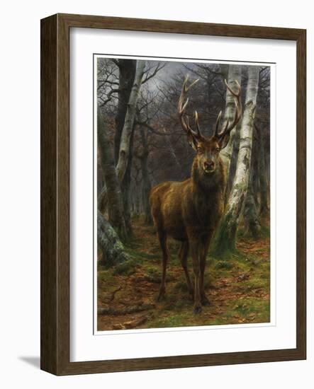 King of the Forest, 1878 (Oil on Canvas)-Rosa Bonheur-Framed Giclee Print