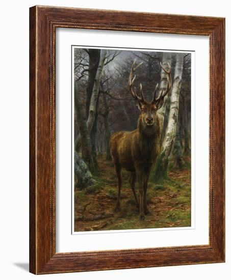 King of the Forest, 1878 (Oil on Canvas)-Rosa Bonheur-Framed Giclee Print