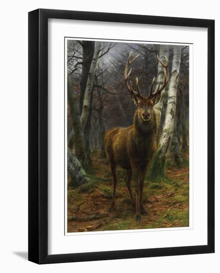 King of the Forest, 1878 (Oil on Canvas)-Rosa Bonheur-Framed Giclee Print