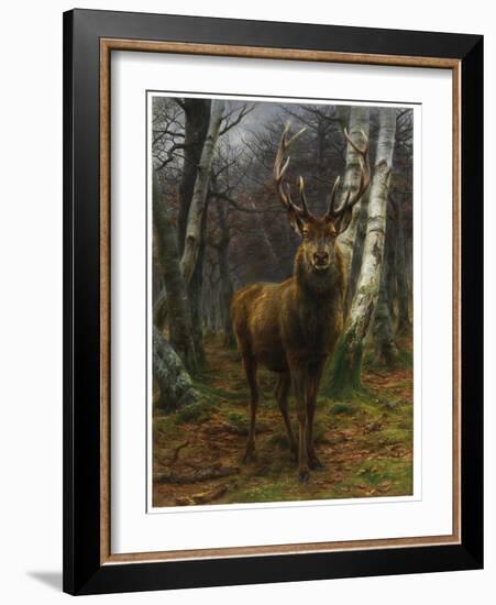 King of the Forest, 1878 (Oil on Canvas)-Rosa Bonheur-Framed Giclee Print