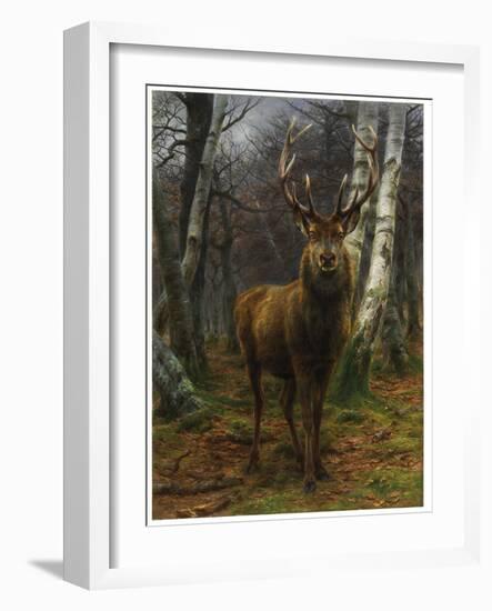 King of the Forest, 1878 (Oil on Canvas)-Rosa Bonheur-Framed Giclee Print