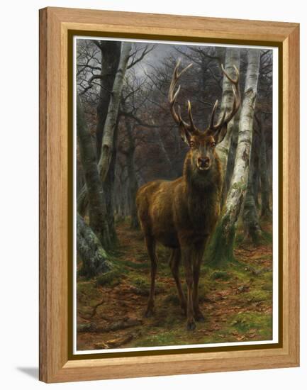 King of the Forest, 1878 (Oil on Canvas)-Rosa Bonheur-Framed Premier Image Canvas