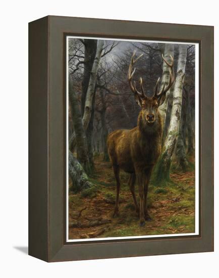 King of the Forest, 1878 (Oil on Canvas)-Rosa Bonheur-Framed Premier Image Canvas