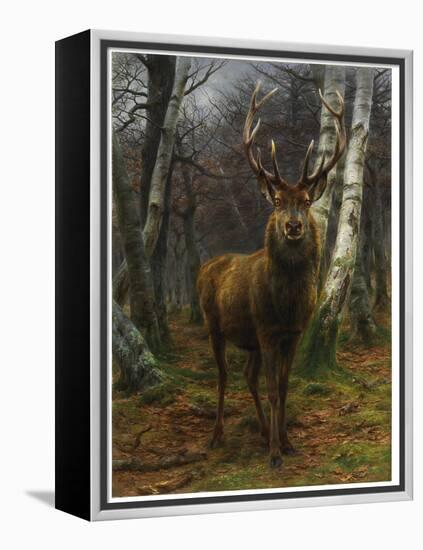 King of the Forest, 1878 (Oil on Canvas)-Rosa Bonheur-Framed Premier Image Canvas