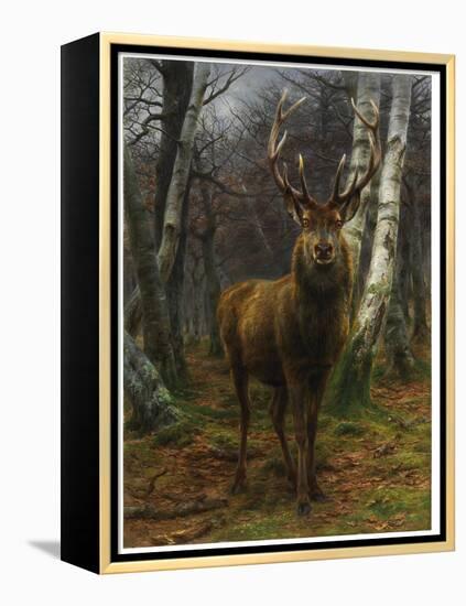 King of the Forest, 1878 (Oil on Canvas)-Rosa Bonheur-Framed Premier Image Canvas