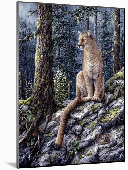 King of the Forest-Jeff Tift-Mounted Giclee Print