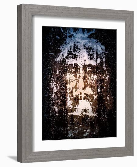King of the Judeans, 2017, (Photograph)-Joy Lions-Framed Giclee Print