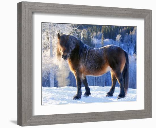 King of the Valley-Annicawesterlund-Framed Photographic Print