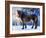 King of the Valley-Annicawesterlund-Framed Photographic Print