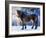 King of the Valley-Annicawesterlund-Framed Photographic Print