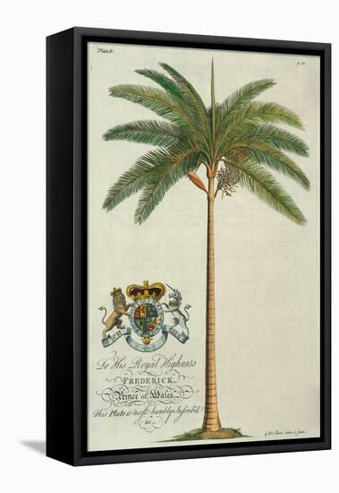 King Palm-Porter Design-Framed Premier Image Canvas
