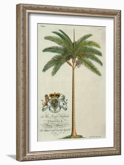 King Palm-Porter Design-Framed Giclee Print