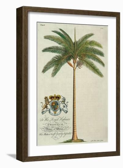 King Palm-Porter Design-Framed Giclee Print