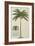 King Palm-Porter Design-Framed Giclee Print