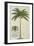 King Palm-Porter Design-Framed Giclee Print