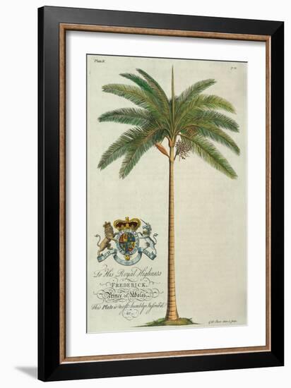 King Palm-Porter Design-Framed Giclee Print