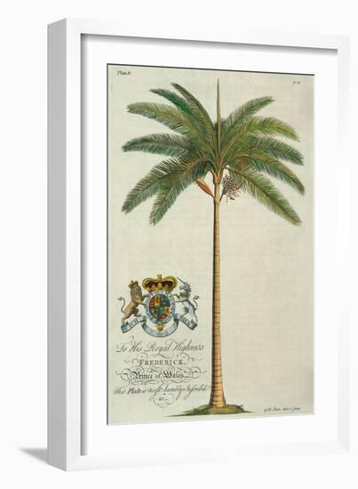 King Palm-Porter Design-Framed Giclee Print