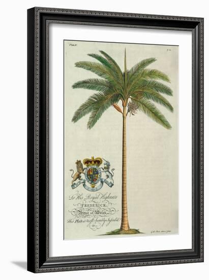 King Palm-Porter Design-Framed Giclee Print