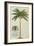 King Palm-Porter Design-Framed Giclee Print