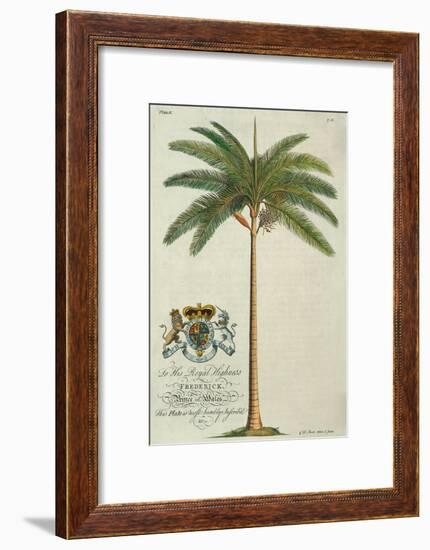 King Palm-Porter Design-Framed Giclee Print