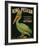 King Pelican Brand California Iceberg Lettuce-null-Framed Art Print