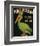 King Pelican Brand California Iceberg Lettuce-null-Framed Art Print