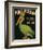 King Pelican Brand California Iceberg Lettuce-null-Framed Art Print