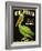 King Pelican Brand Lettuce-null-Framed Premium Giclee Print