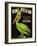 King Pelican Brand Lettuce-null-Framed Premium Giclee Print