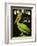 King Pelican Brand Lettuce-null-Framed Giclee Print