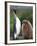 King Penguin Adult and Chick-Kevin Schafer-Framed Photographic Print