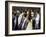 King penguin (Aptenodytes patagonicus) colony. Right Whale Bay, South Georgia-Tony Heald-Framed Photographic Print