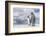 King Penguin (Aptenodytes patagonicus) on the Falkland Islands in the South Atlantic.-Martin Zwick-Framed Photographic Print