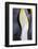 King penguin close-up showing the colorful curves of their feathers. St. Andrews Bay, South Georgia-Tom Norring-Framed Photographic Print