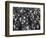 King Penguin Colony-John Conrad-Framed Photographic Print