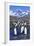 King Penguin Colony-Paul Souders-Framed Photographic Print