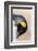 King Penguin, Falkland Islands, South Atlantic. Portrait-Martin Zwick-Framed Premium Photographic Print