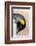 King Penguin, Falkland Islands, South Atlantic. Portrait-Martin Zwick-Framed Premium Photographic Print